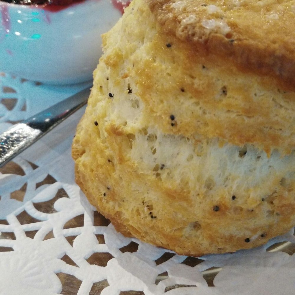 The SconeWitch - Close up of lemon poppy seed scone - Cafes Near Me - Ottawa, Ontario The SconeWitch - Close up of lemon poppy seed scone - Cafes Near Me - Ottawa, Ontario