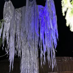 Royal Scare