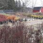 Photo of Branching Out Nursery