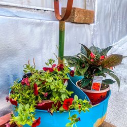 Farmers Market Garden Center