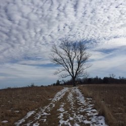 Happy Landings Open Space