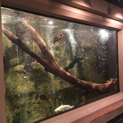Booker Fowler Fish Hatchery