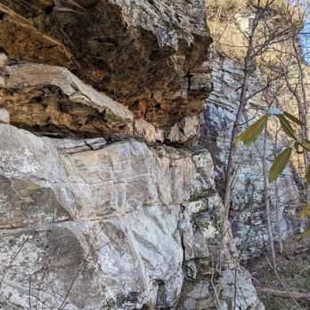 Caesars Head State Park - Raven Cliff Falls and Dismal Trail Loop | Instagram: @telephonesmoothie - Parks Near Me - Cleveland, South Carolina