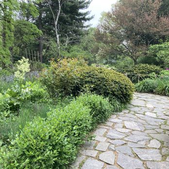 Shakespeare Garden - Taken 05/03/21 - Parks Near Me - New York, New York