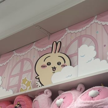 Miniso - Toy Stores Near Me - San Antonio, Texas Miniso - Toy Stores Near Me - San Antonio, Texas