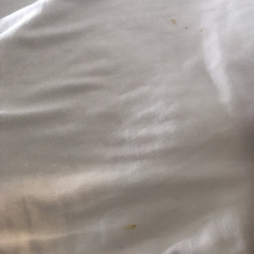 Block Party Hotels - More stains - Hotels Near Me - Dewey Beach, Delaware