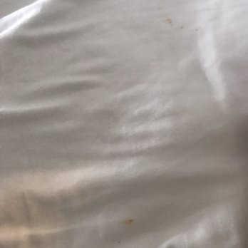 Beach House Dewey - More stains - Hotels Near Me - Dewey Beach, Delaware