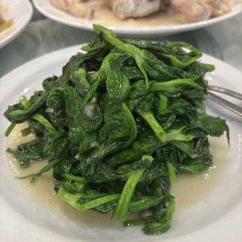 Joyful Seafood Restaurant - Peashoot - Dim Sum Near Me - Burnaby, British Columbia Joyful Seafood Restaurant - Peashoot - Dim Sum Near Me - Burnaby, British Columbia