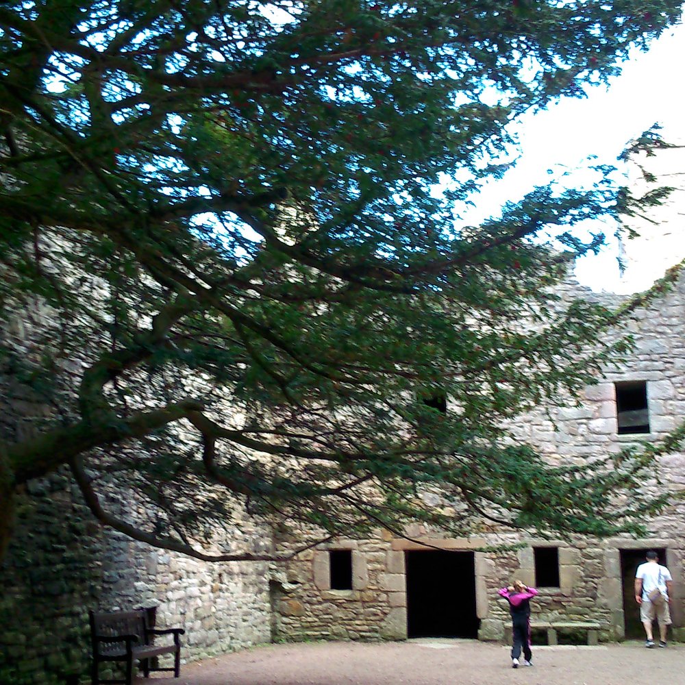 Craigmillar Castle - Inner courtyard - Landmarks & Historical Buildings Near Me - Edinburgh, EDH Craigmillar Castle - Inner courtyard - Landmarks & Historical Buildings Near Me - Edinburgh, EDH