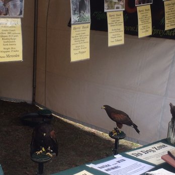 Hoggetowne Medieval Faire - Festivals Near Me - Gainesville, Florida Hoggetowne Medieval Faire - Festivals Near Me - Gainesville, Florida