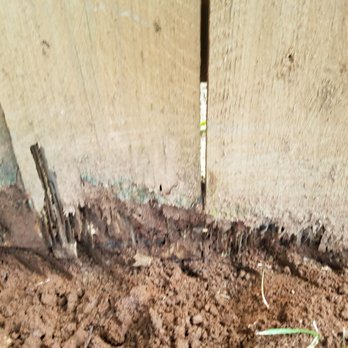 Premier Fence 40 Photos 20 Reviews Fences Gates 1354 W College St Murfreesboro Tn Phone Number Premier Fence 40 Photos 20 Reviews Fences Gates 1354 W College St Murfreesboro Tn Phone Number