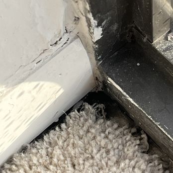65 E Scott Bldg - The mold that continues to resurface because Group Fox/Gloria Dougherty refuses to replace 50+ yr old leaky windows. - Apartments Near Me - Chicago, Illinois