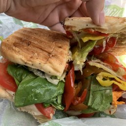 Panini