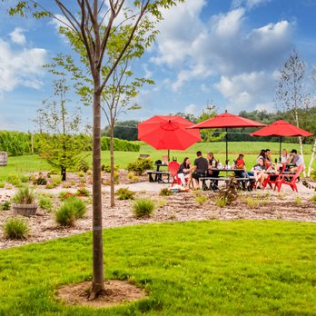 Red Top Winery - Beautiful summer - Wine Tasting Room Near Me - Baroda, Michigan