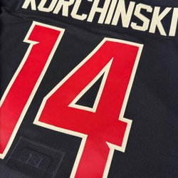 Rockford Icehogs