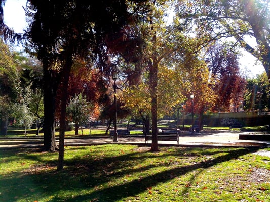 Parque Forestal by null