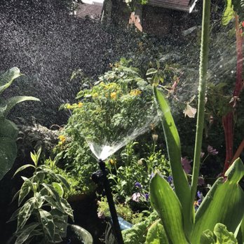 Tom’s Sprinklers - Micro spray drip system - Landscaping Near Me Tom’s Sprinklers - Micro spray drip system - Landscaping Near Me