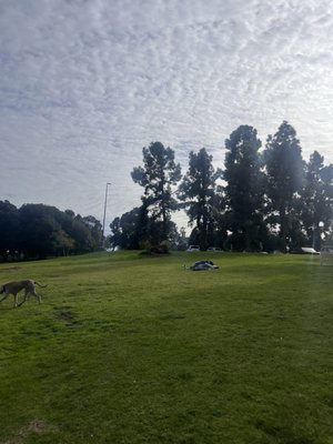 Golden Hill Park by null