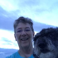 Veterinarians In Pawleys Island Yelp