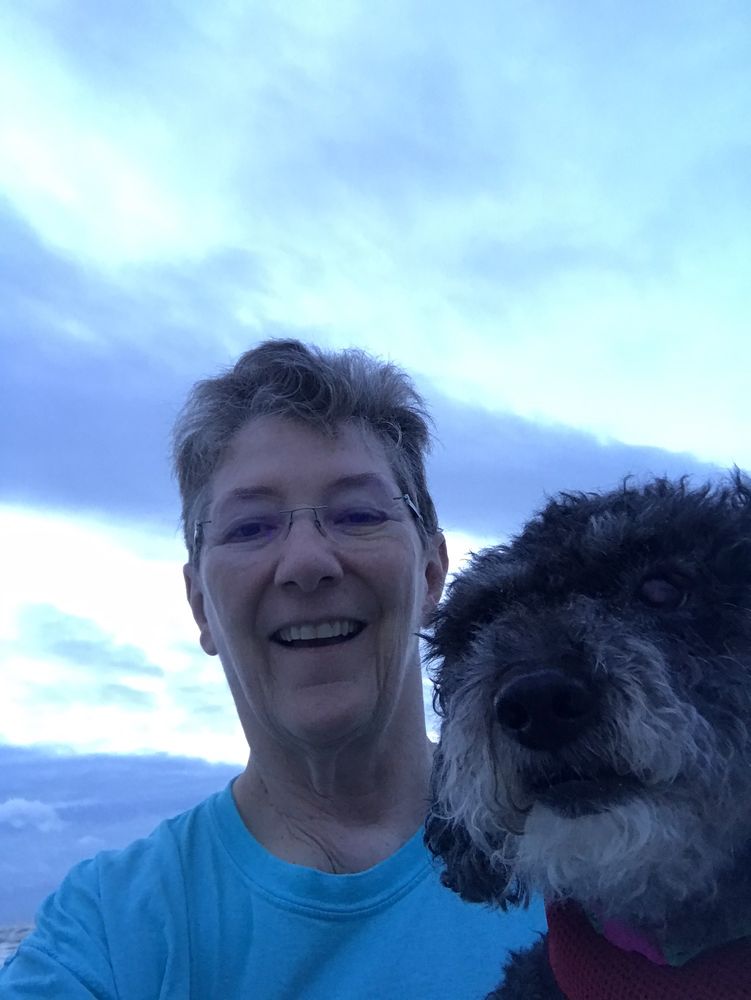 ON POINT ANIMAL HOSPITAL Updated September 2024 36 Reviews 10225