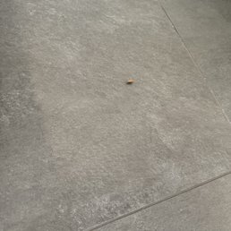 Cockroach spotted as we're walking out. Cockroach spotted as we're walking out.