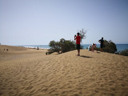 Dunas de Maspalomas by null
