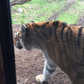 Dublin Zoo - Zoos Near Me - Dublin, D Dublin Zoo - Zoos Near Me - Dublin, D