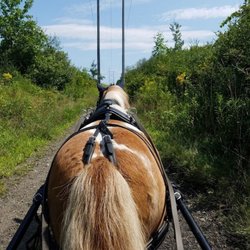 Northland Farm - Outside on the service road behind the barn is really a great place to ride or drive!