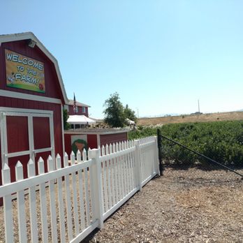 Temecula Berry - Beautiful day and tons of blueberries! - Farms Near Me - Temecula, California Temecula Berry - Beautiful day and tons of blueberries! - Farms Near Me - Temecula, California