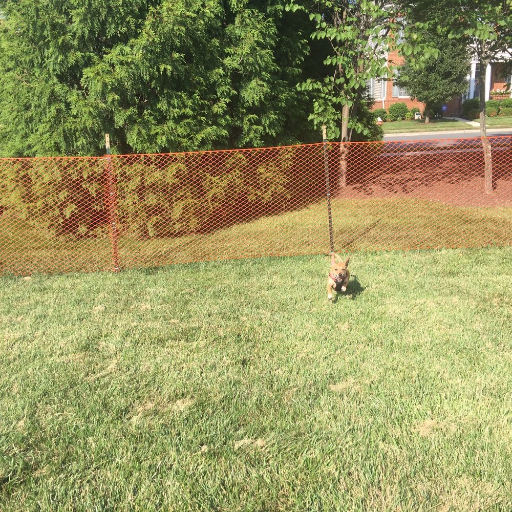 South Riding Dog Park - Dog Parks Near Me - Chantilly, Virginia South Riding Dog Park - Dog Parks Near Me - Chantilly, Virginia