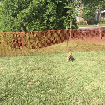 South Riding Dog Park - Dog Parks Near Me - Chantilly, Virginia