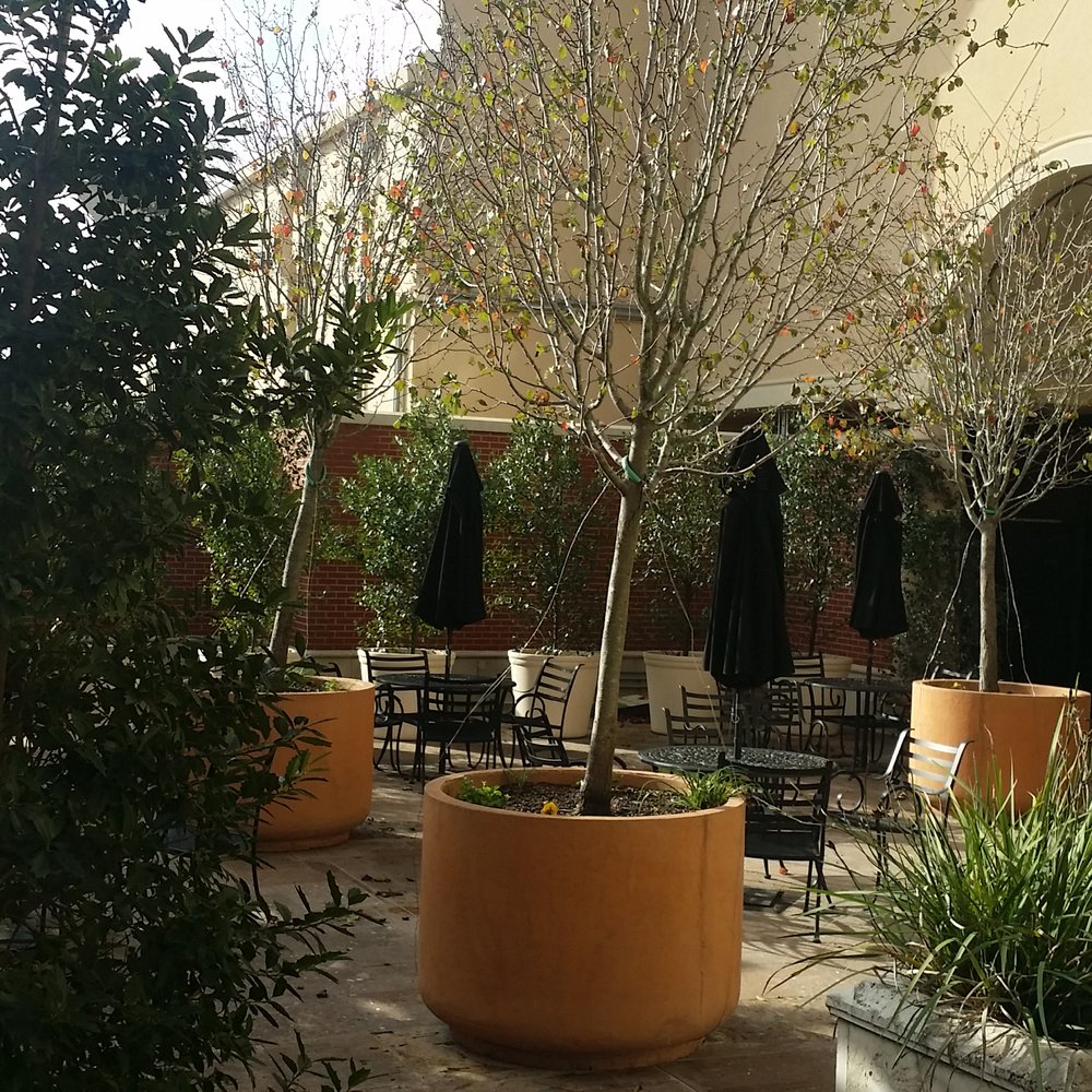Another Broken Egg Cafe - Outdoor sitting area - Breakfast & Brunch Near Me - Shenandoah, Texas Another Broken Egg Cafe - Outdoor sitting area - Breakfast & Brunch Near Me - Shenandoah, Texas