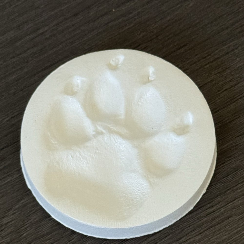 Small Paws Cremations - Pet Cremation Services Near Me - Los Angeles, California Small Paws Cremations - Pet Cremation Services Near Me - Los Angeles, California