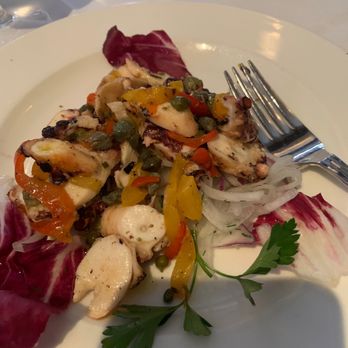 Estia - Octopodi - Greek Near Me - Philadelphia, Pennsylvania