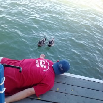 Just For Fun: Pontoons & Party Barges - Feeding the mallards on lake travis. - Boating Near Me - Austin, Texas