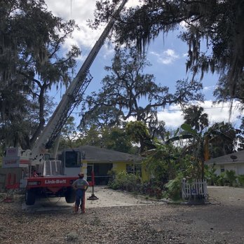 Monster Tree Service - Tree Services Near Me - Bradenton, Florida