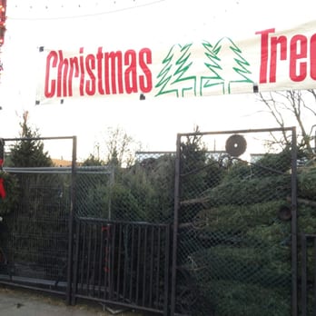 Boston Christmas Trees - Boston Christmas Trees - Christmas Trees Near Me - Brighton, Massachusetts
