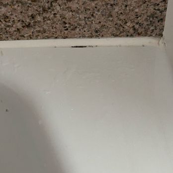 Beachcomber Resort & Club - Some more black mold - Resorts Near Me - Pompano Beach, Florida Beachcomber Resort & Club - Some more black mold - Resorts Near Me - Pompano Beach, Florida