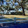 Photo of W. O. Thomas, Jr. Boat Landing