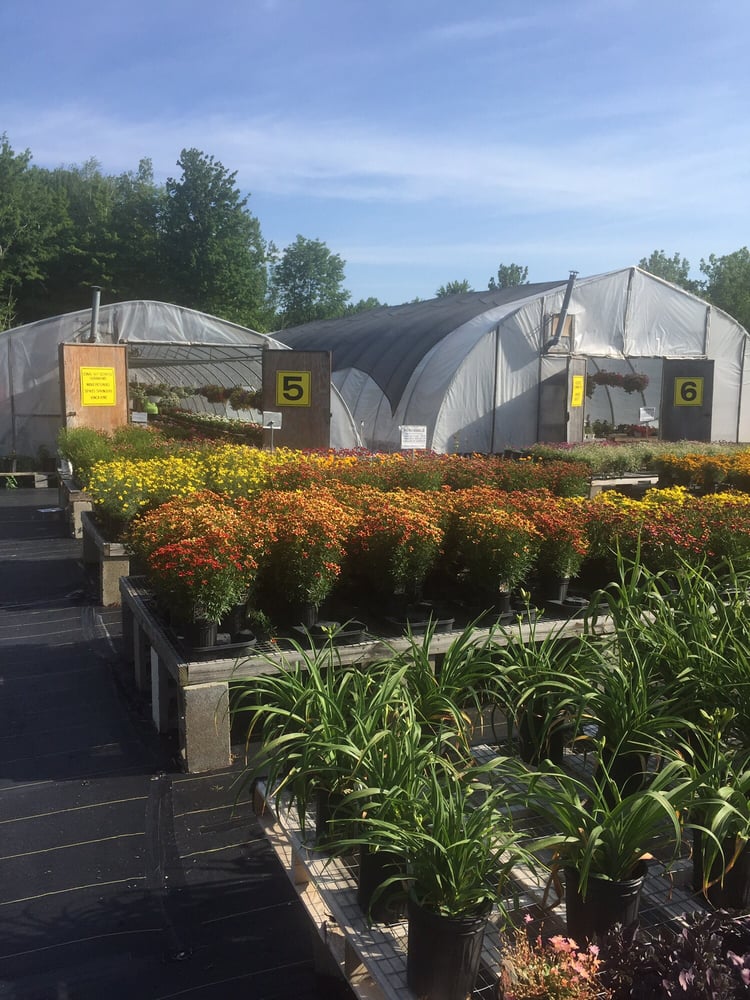 PLANTSCAPE GREENHOUSES Updated September 2024 7464 Hathaway Dr