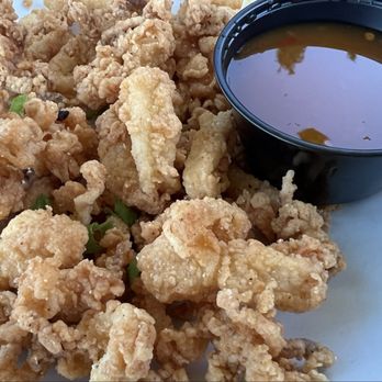 Riveria Dunes Marina - Calamari - Marinas Near Me - Palmetto, Florida