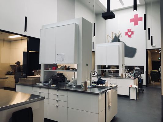 Clinique Veterinaire Lasalle Veterinarians 70 Boulevard Champlain Lasalle Qc Phone Number