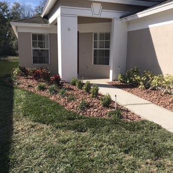 AllPro Tree & Landscaping - New landscaping with no trees! - Tree Services Near Me