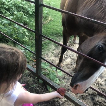 Beaumont Ranch - Horse - Wedding Planning Near Me - Grandview, Texas