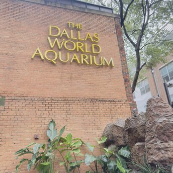 The Dallas World Aquarium - Outside of the aquarium - Aquariums Near Me - Dallas, Texas The Dallas World Aquarium - Outside of the aquarium - Aquariums Near Me - Dallas, Texas