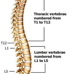 Pine Lake Chiropractic Clinic - How is your spine?