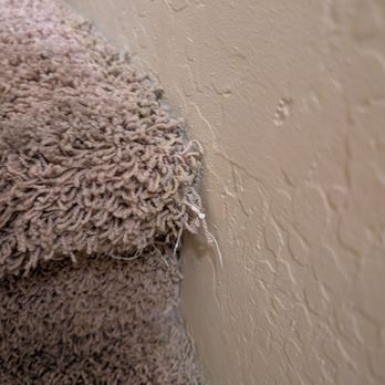 Majestic Carpet Repair Services - STEP 2 before Marlin... - Carpet Installation Near Me Majestic Carpet Repair Services - STEP 2 before Marlin... - Carpet Installation Near Me