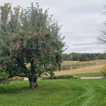 Alber Orchard & Cider Mill - Farm views from the orchard - Attraction Farms Near Me - Manchester, Michigan
