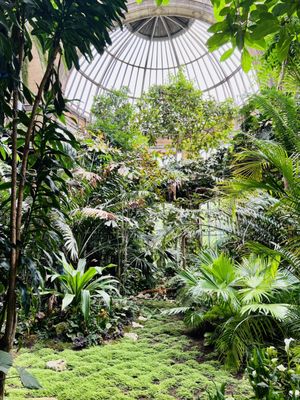 Zoo Antwerpen by null