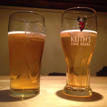 Working Dog Saloon - Pints for the night - Sports Bars Near Me - Toronto, Ontario